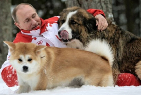Putin turns down Japanese dog gift, MP says